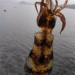 雨を覚悟してましたが、小雨で良かった❗