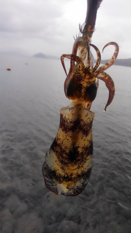 雨を覚悟してましたが、小雨で良かった❗