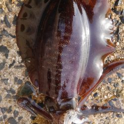 30分早く起きたご褒美‼