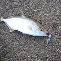 今日はいい日だった