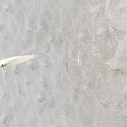 日の出と、共に