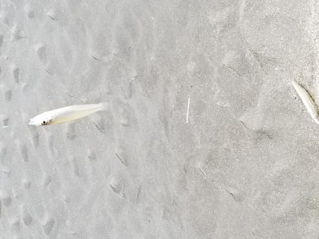 日の出と、共に