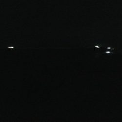 苦労の中での一匹