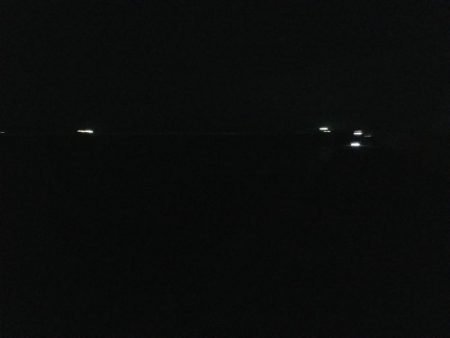 苦労の中での一匹