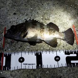 久しぶりの遠征