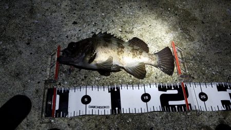 久しぶりの遠征