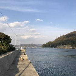 マダコ キロオーバー