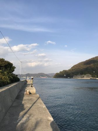 マダコ キロオーバー