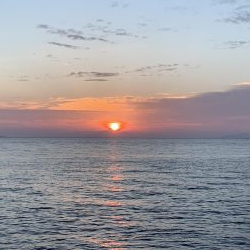 ガシラしかいない