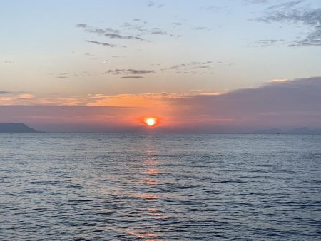 ガシラしかいない