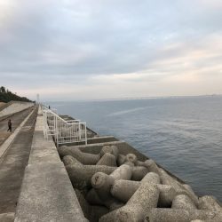 青物狙いでしたが…