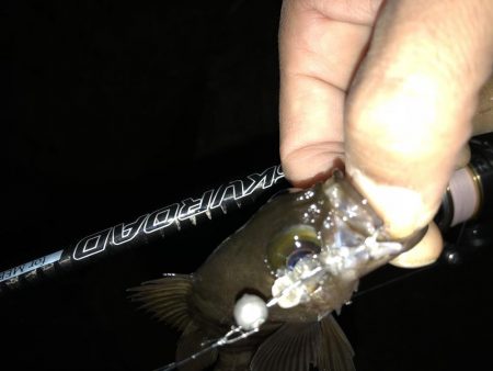 安定 メバリング