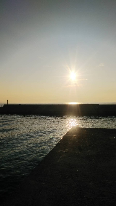 太刀魚は居てます