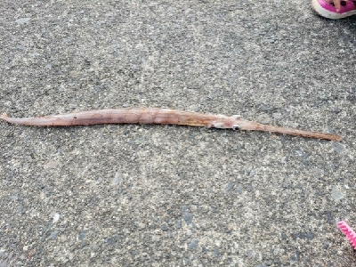 潮は動かないけど。