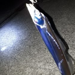 おひさの沖堤防