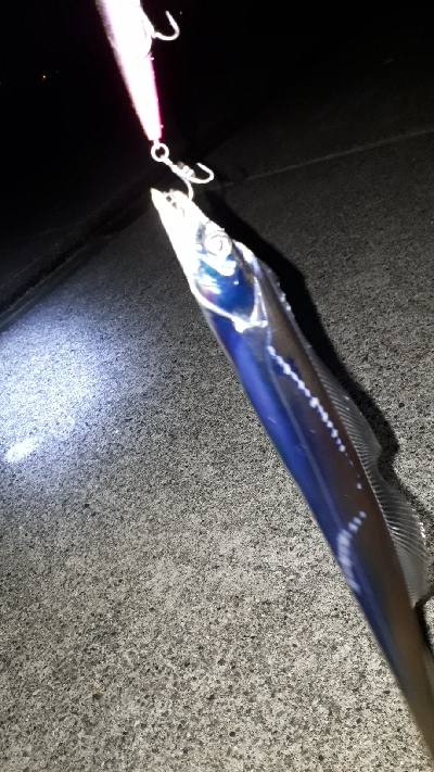 おひさの沖堤防