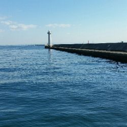 神戸沖堤調査No2