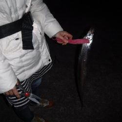 タチウオ渋かったがなんとか1本