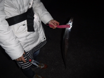 タチウオ渋かったがなんとか1本