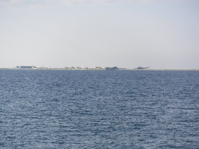 タチウオ終盤　時合短し