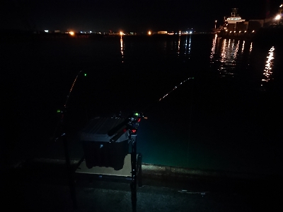 サバとアナゴに遊ばれて