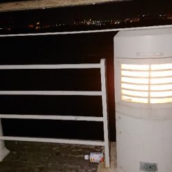 大穴子が出現！コスモスクエア