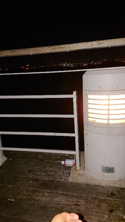 大穴子が出現！コスモスクエア