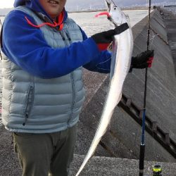 ムコイチドラゴン確保