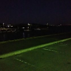 サビキと呑ませ