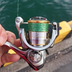 釣り部  釣行記  22