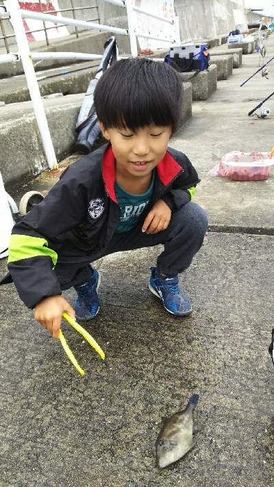 子供が大喜び！