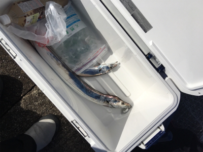 朝一ショアジギング