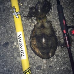 ランガンしながら