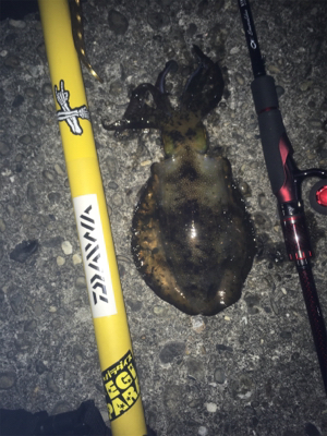 ランガンしながら