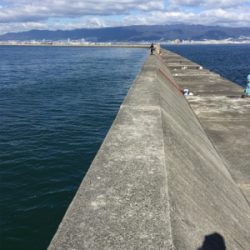 朝まづめショアジギング