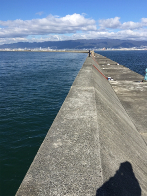 朝まづめショアジギング