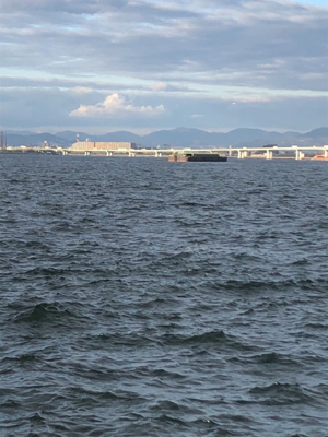 撃沈けどエソハンター