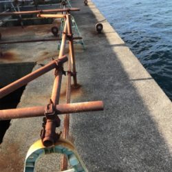 モーニングサービス