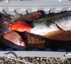 北〜南 ロングコース