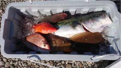 北〜南 ロングコース