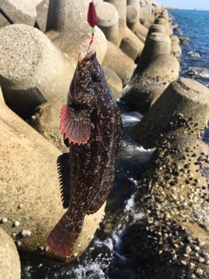 ショアジギ か〜ら〜の〜