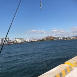 ダンゴ釣りのはずが