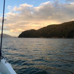 マイボート、ジギングティップラン釣行