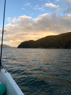 マイボート、ジギングティップラン釣行