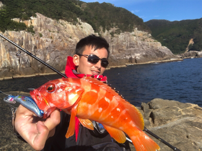 中之島ハードロック