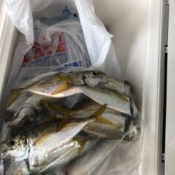 親父たちの釣行 大阪湾編