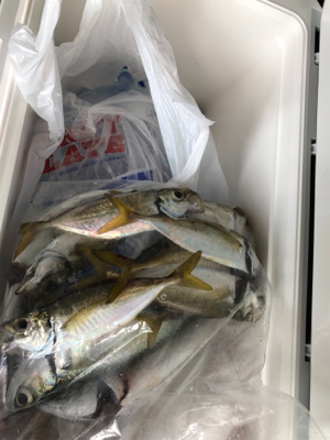 親父たちの釣行 大阪湾編