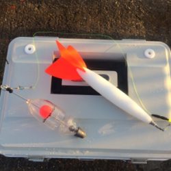 平磯・秋のタイ祭り！