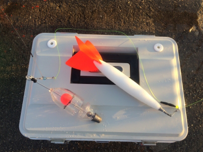 平磯・秋のタイ祭り！