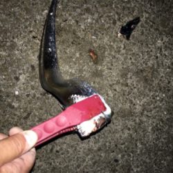 タチウオ複数げっと!